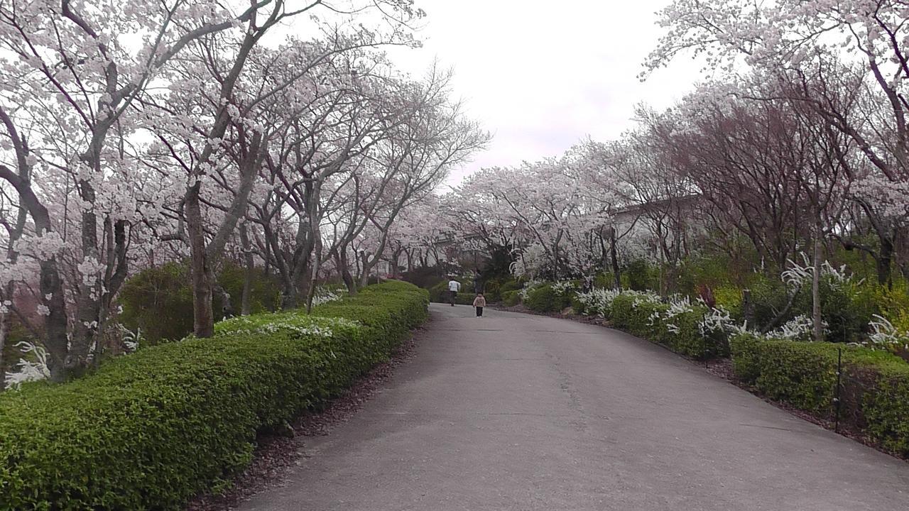 Nikkoen Hotel Nishiwaki Екстериор снимка